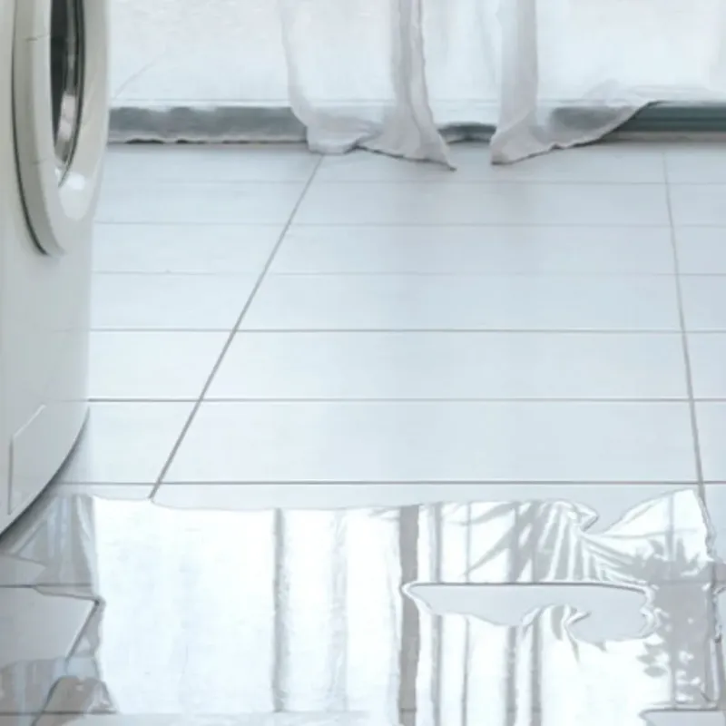Appliance Leak Cleanup in Meredith, NH
