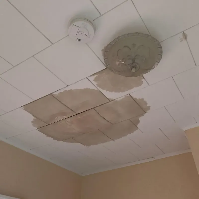 Ceiling Water Damage Repair in Meredith, NH