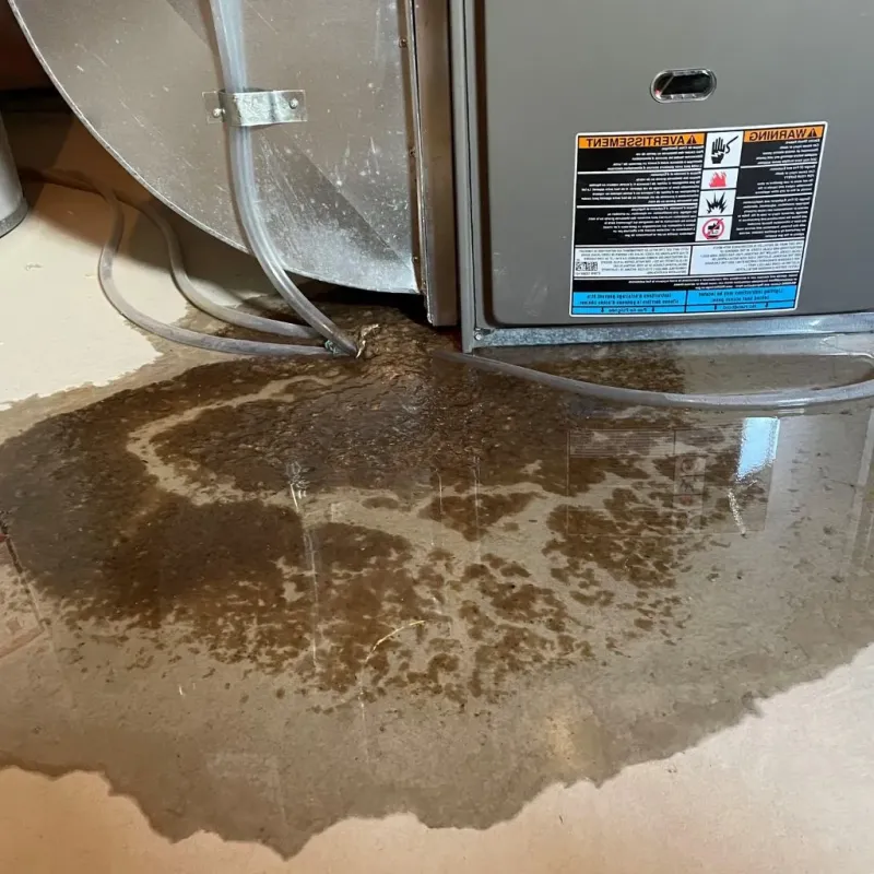 Pipe Burst and Leak Restoration in Meredith, NH